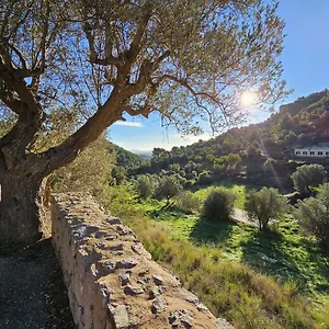 Sec , Alaró Spanien